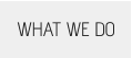 WHAT WE DO